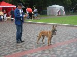Бэста-бельгийская овчарка(малинуа),отличный поисковик (наркотики,оружие,взрывчатка),совершенно бесстрашна при задержании преступника.