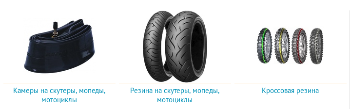 motoshini_1.png