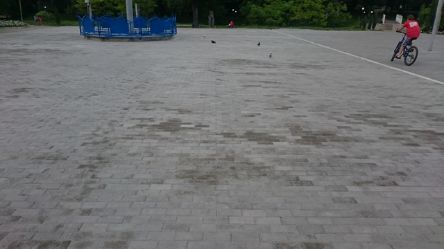 dsc_0875.jpg